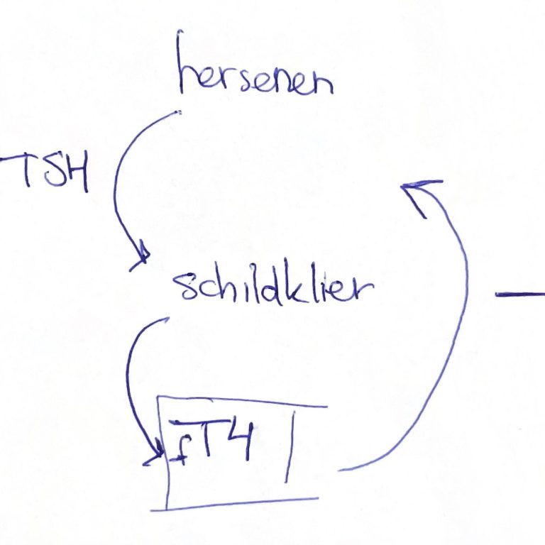 Standaard uitleg regelsysteem bij Graves door arts tijdens consult Standaard uitleg regelsysteem bij Graves door arts tijdens consult